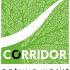 Corridor avatar
