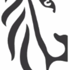 Team MER avatar