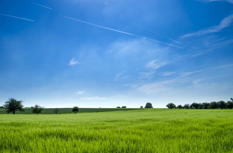 Landschap.jpg