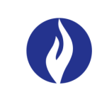 Federale politie avatar