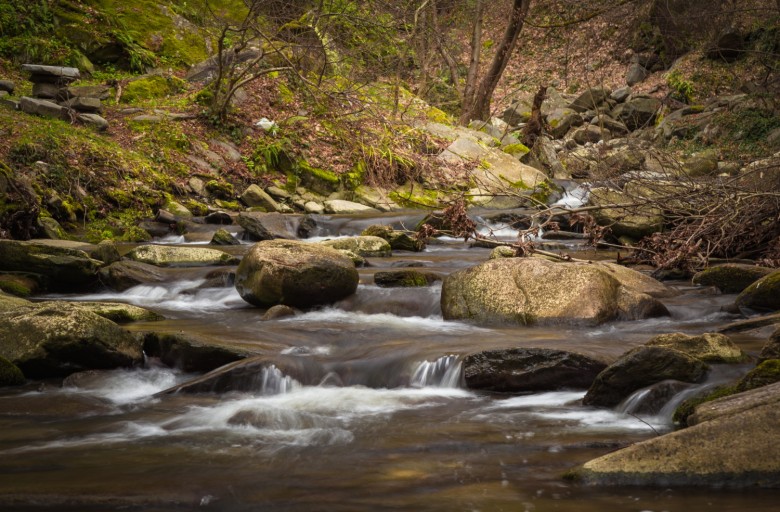 Water natuur.jpg